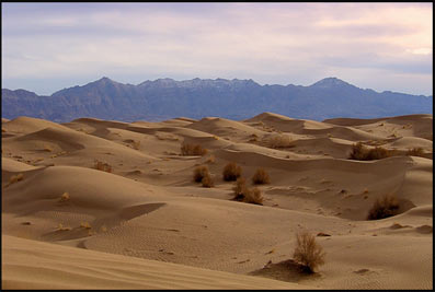 شنزارهای کویر عقدا